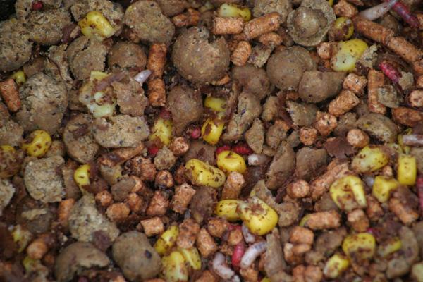 papa bun  - boilies-corn-maggots-or-breakdown-pellets-they-can-all-work-in-winter-on-the-right-waters.jpg